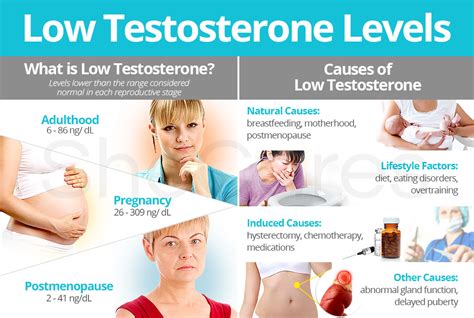 testos drops|8 Major Factors That Cause Low Testosterone Levels.